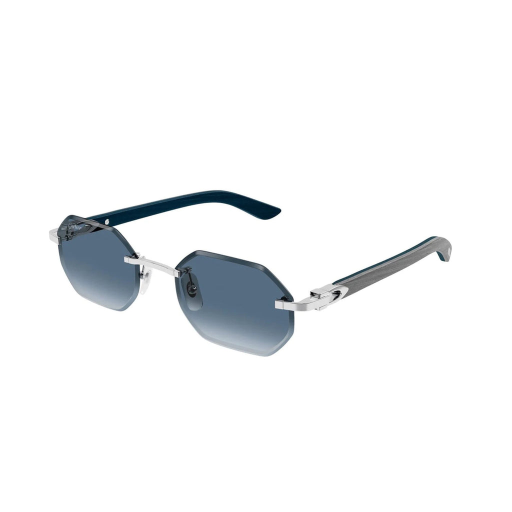 CT0439S LUXURY SUNGLASSES